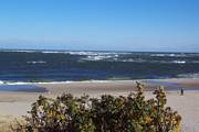 Chatham Light beach