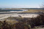 Chatham Light beach