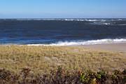 Chatham Light beach